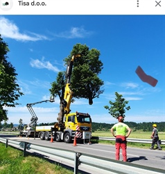 V Hudi Luknji do 30-minutne popolne zapore zaradi podiranja nevarnih dreves