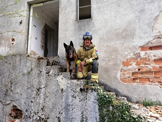 'Psi si izberejo človeka in ne človek psa'