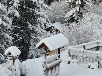 Prvi sneg na Koroškem v tej zimi