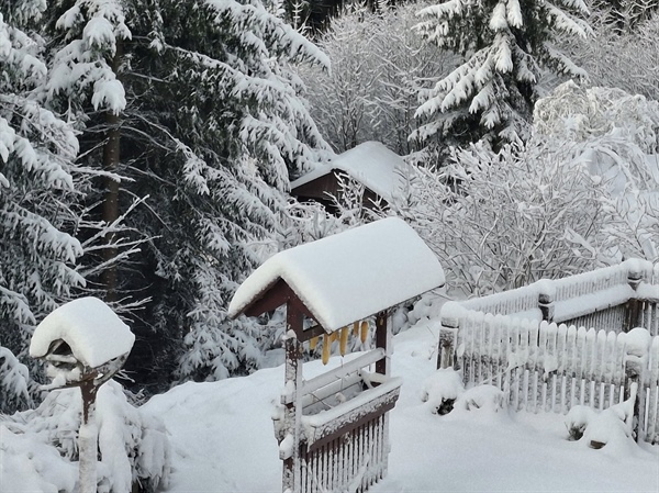 Prvi sneg na Koroškem v tej zimi