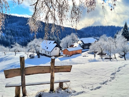 V oddaji Po podeželju ... s Karin: pri Adamu nad Mislinjo