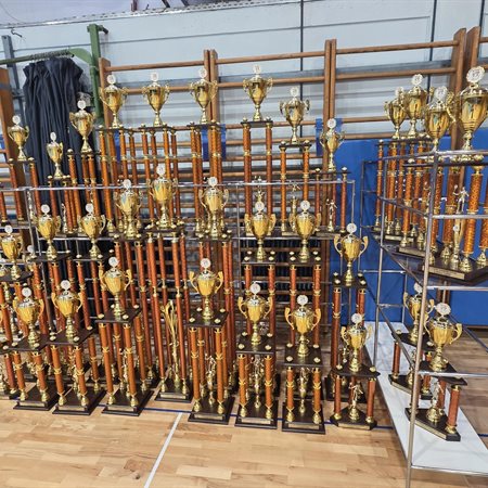 Na Ravnah svetovni rekord, otroci odnesli svojo "formo vivo"