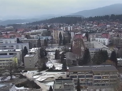 Brezplačna svetovanja za občanke in občane v Velenju