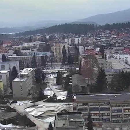 Brezplačna svetovanja za občanke in občane v Velenju