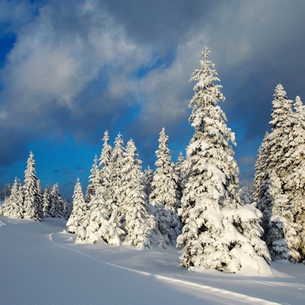 Pomagajte oblikovati turizem na Koroškem