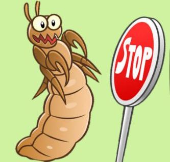 UŠI – majhne nadloge, veliki problemi