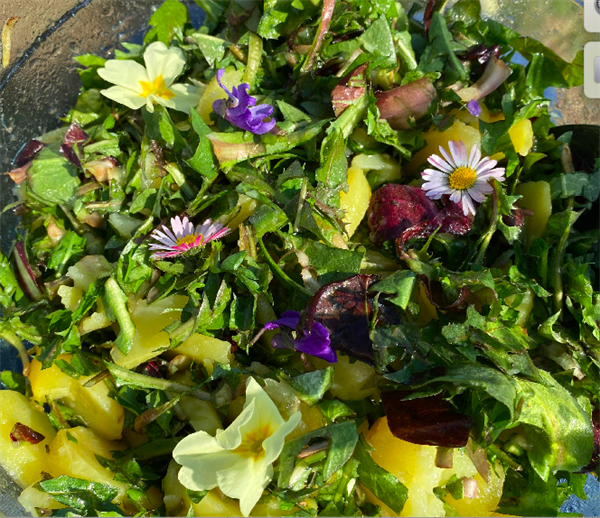 Regrat, čemaž ... a tudi klopi