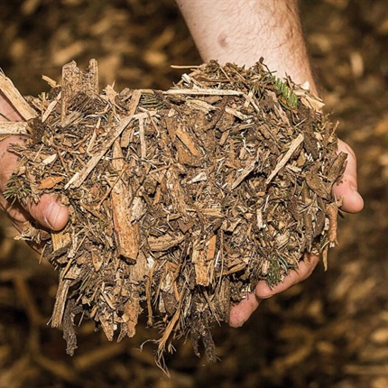 Bioenergija iz lesnih odpadkov namesto obstoječega daljinskega ogrevanja v Šaleški dolini