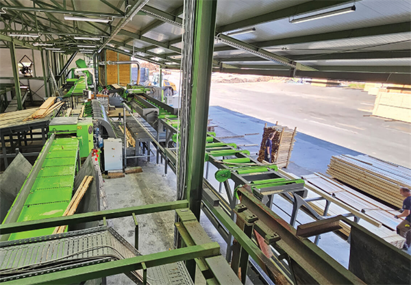 Žaga v Šentjanžu: Lastniki jo bodo preselili ali prodali