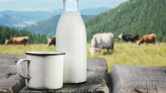 Izjemno nizka cena mleka kmete sili v ekstremne odločitve