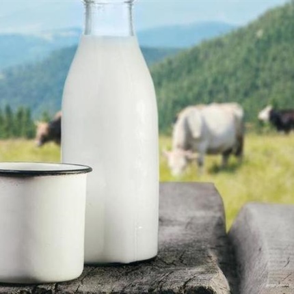 Izjemno nizka cena mleka kmete sili v ekstremne odločitve