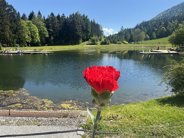 Tradicionalno praznovanje praznika dela bo tudi letos potekalo na Ivarčkem jezeru, kjer organizatorji pričakujejo številne obiskovalce.