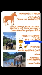 V Mitneku pod Peco tudi letos konjeniški tabor za otroke