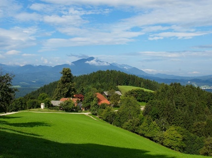 Koroška posebej primerna za ekološko kmetovanje