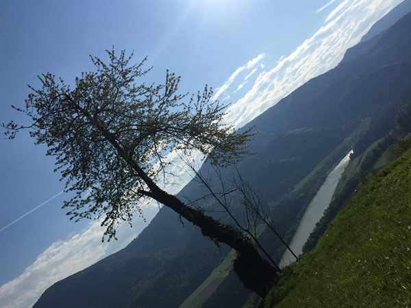 Hoja je najboljša rekreacija - #DarujemKilometre