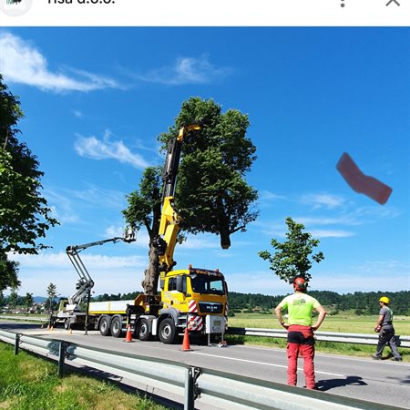 V Hudi Luknji do 30-minutne popolne zapore zaradi podiranja nevarnih dreves
