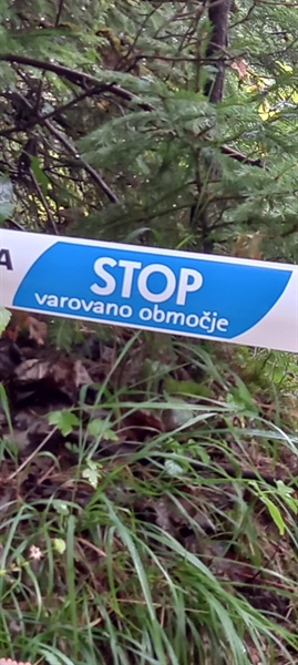 Strelsko društvo: "Ljudi manj moti divje odlagališče kot urejen prostor"