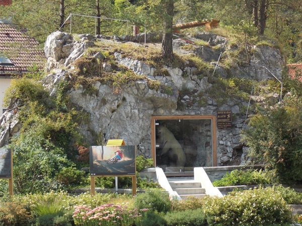 Slavni črnjanski medved odšel na lepotni poseg