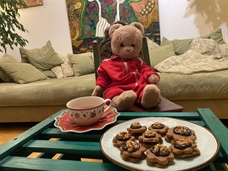 Išče se najstarejši plišasti kosmatinec na Koroškem