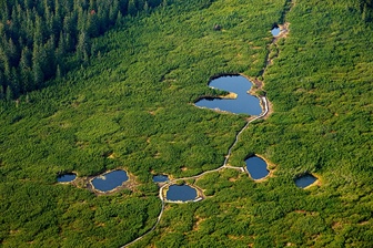Trije nadzorniki na Pohorju