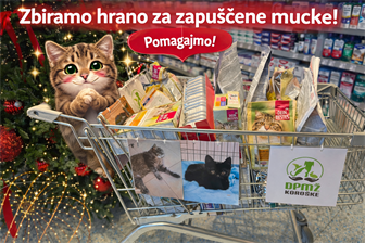 Sredi zimskega mraza: Tihi angeli Mislinjske doline in košarica upanja za zapuščene mačke.