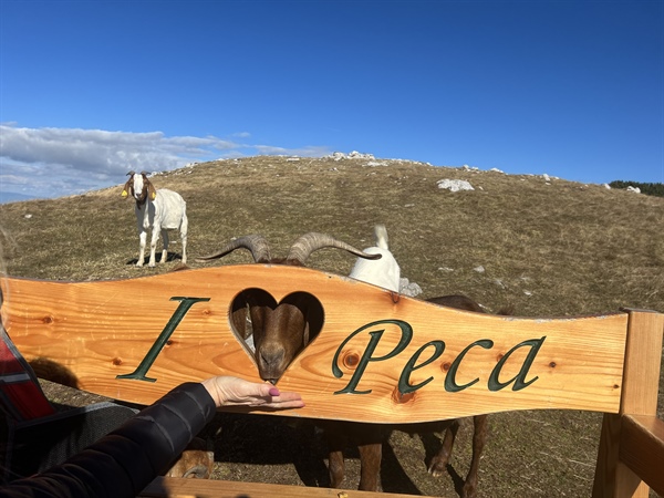 Koroški turizem s strateškimi koraki v leto 2026