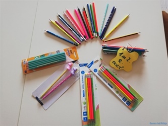 Osnovna šola v Mislinji ima novo ravnateljico