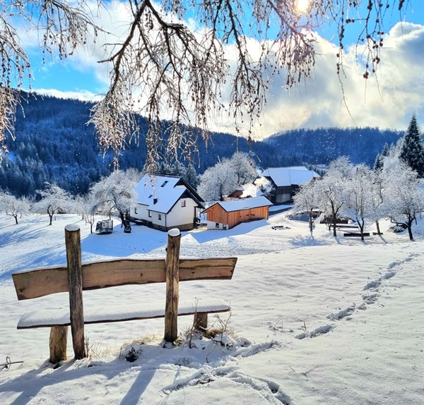 V oddaji Po podeželju ... s Karin: pri Adamu nad Mislinjo