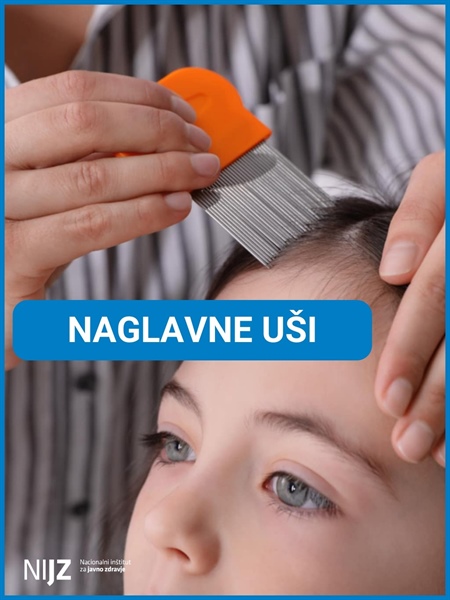 Naglavne uši so nadležne, niso pa nevarne