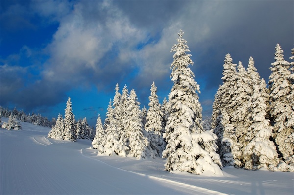 Pomagajte oblikovati turizem na Koroškem