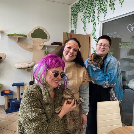 Muce iz mačja kavarne Rozi na voljo za posvojitev