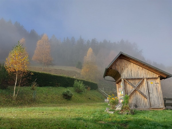 Ekološka super hrana s kmetije Oskrd na Libeliški gori