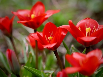 Mama ni ena sama. Za nekatere.