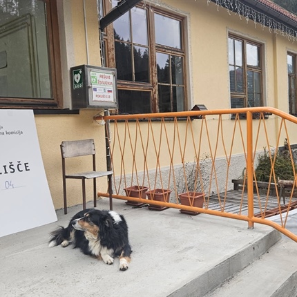 Poslansko delo: adrenalin, svetle noči, večurno sedenje ...