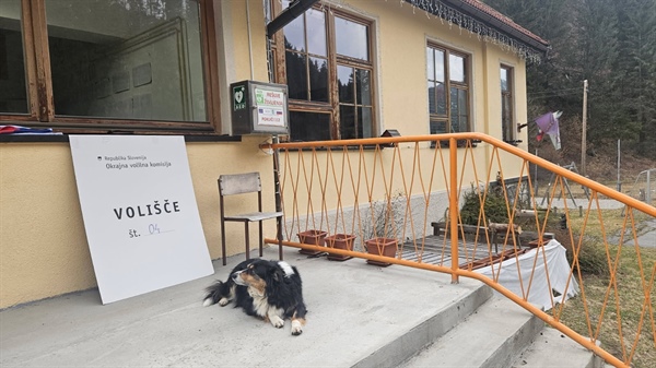 Poslansko delo: adrenalin, svetle noči, večurno sedenje ...