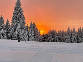 Kope: Rekordni zimski sezoni pomahali v slovo, pozdravljajo poletno