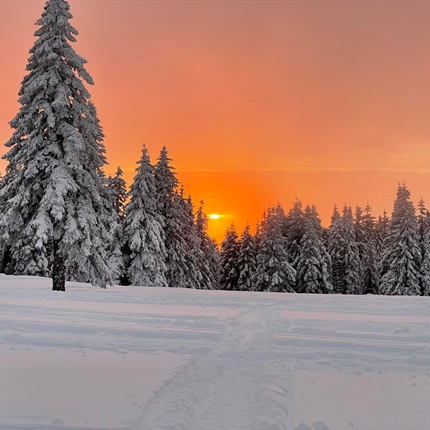 Kope: Rekordni zimski sezoni pomahali v slovo, pozdravljajo poletno