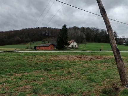 Na Koroškem smo jo dokaj dobro odnesli