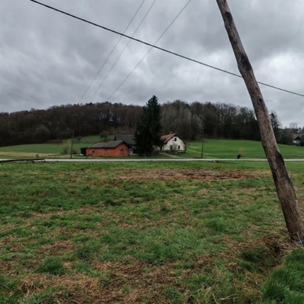 Na Koroškem smo jo dokaj dobro odnesli