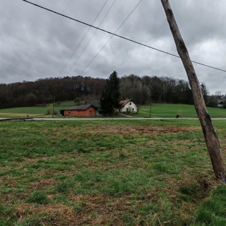 Na Koroškem smo jo dokaj dobro odnesli