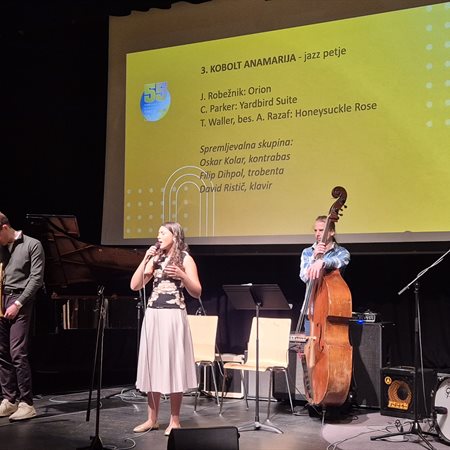 Učenci ravenske glasbene šole odlični na tekmovanjih