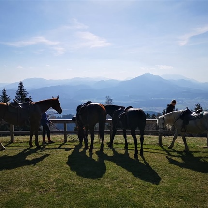 Cross Country Club Legen prireja dan odprtih vrat v družbi konj in ponijev