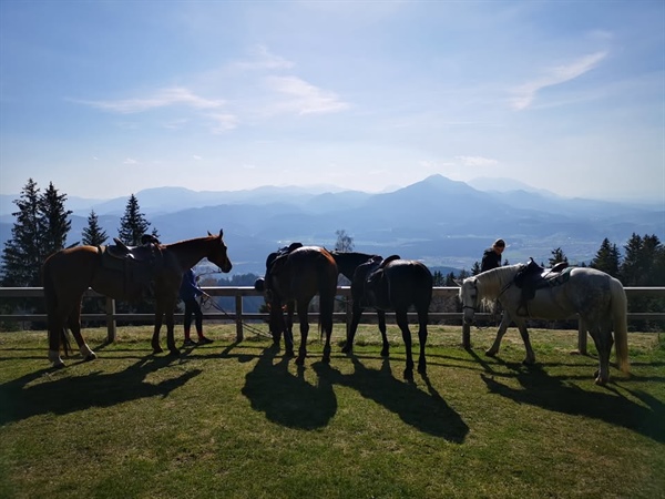 Cross Country Club Legen prireja dan odprtih vrat v družbi konj in ponijev