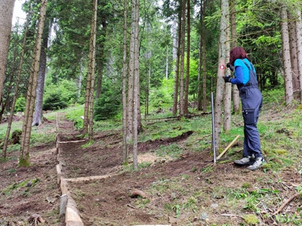 Zakaj planinske koče životarijo?