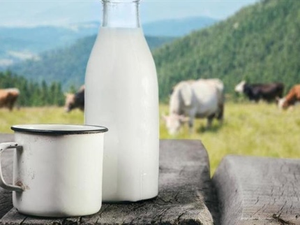 Izjemno nizka cena mleka kmete sili v ekstremne odločitve