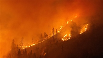 Gozdni požar v občini Šmohor na avstrijskem Koroškem se širi