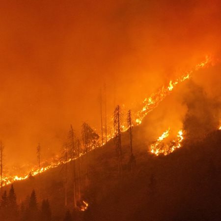 Gozdni požar v občini Šmohor na avstrijskem Koroškem se širi