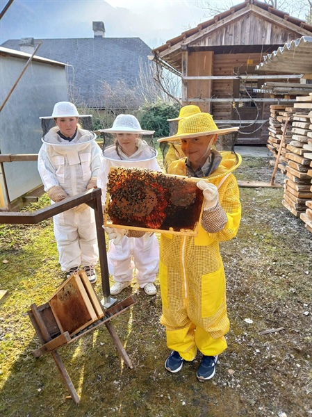 Čebele praznujejo!