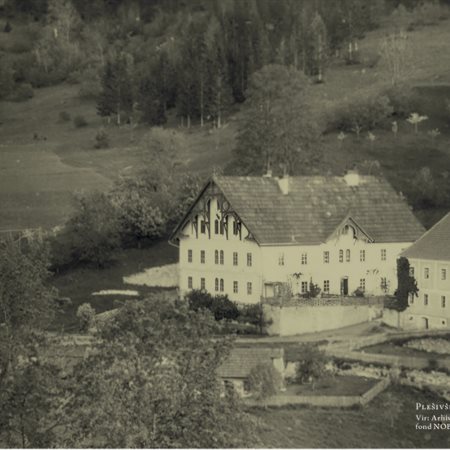 Predstavitev knjige Lepe so dogodivščine plešivške
