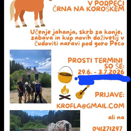 V Mitneku pod Peco tudi letos konjeniški tabor za otroke